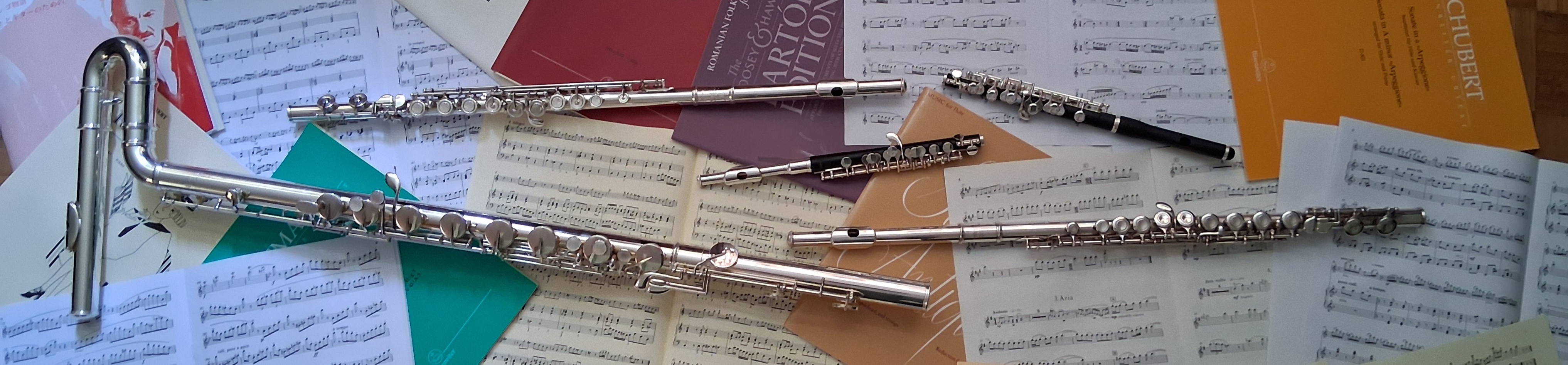 The Flute Group performing at Lymington.