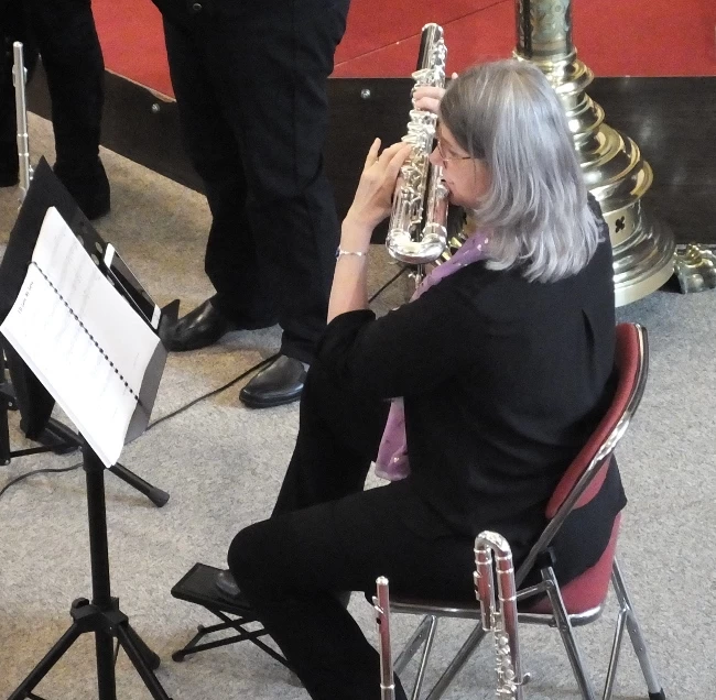 no picture found for Bass flute